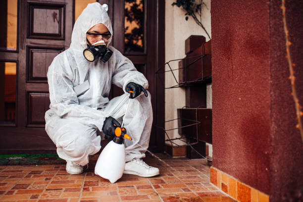 Reliable Wasp Removal contractor in Pleasant Hill, TX by Show Me Pest Control